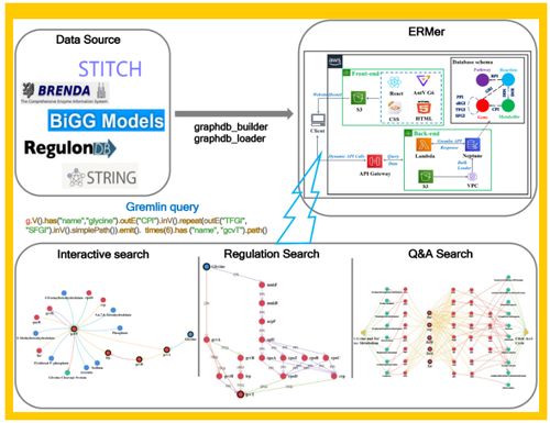 微生物領(lǐng)域的革新 Tibcas聯(lián)合亞馬遜云科技提出針對真實(shí)業(yè)務(wù)場景的信息技術(shù)咨詢服務(wù)新框架